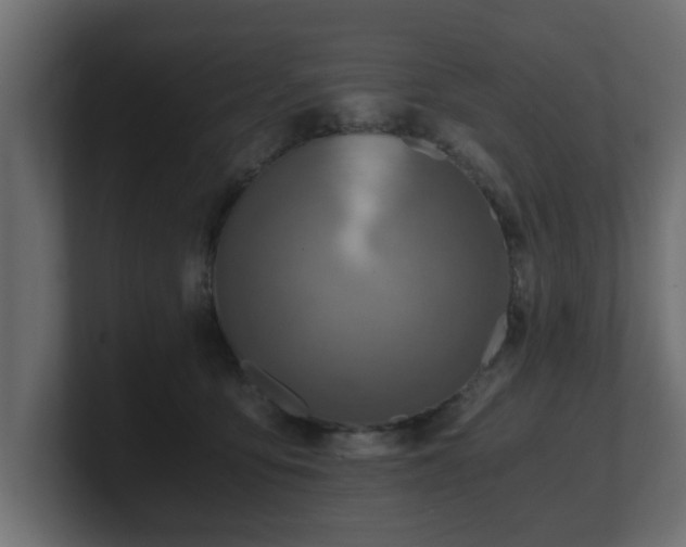 X0000100760419200806261609