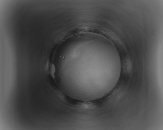 X0000100760420200806261609