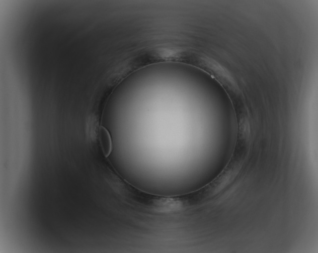 X0000100760421200806261609