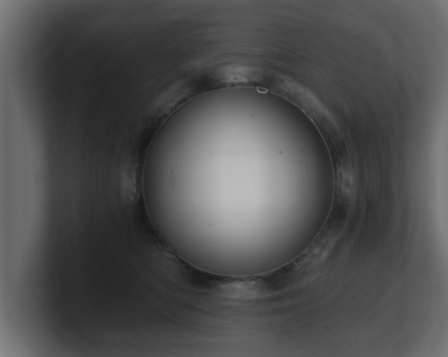 X0000100760422200806261609