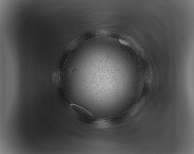 X0000100760425200806261609