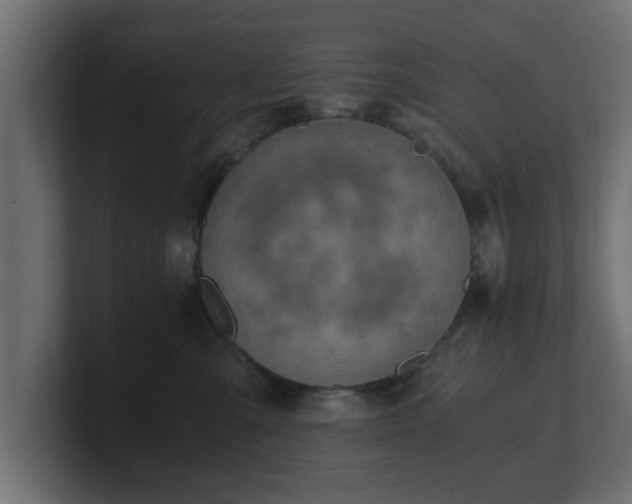 X0000100760427200806261609