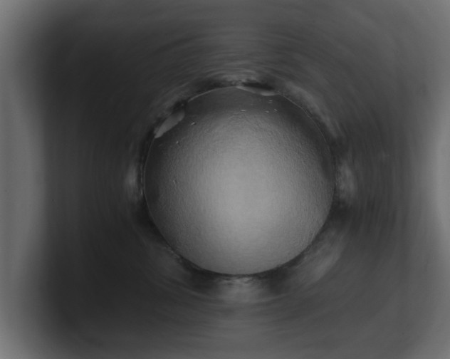 X0000100760428200806261609