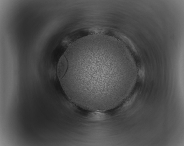 X0000100760429200806261609