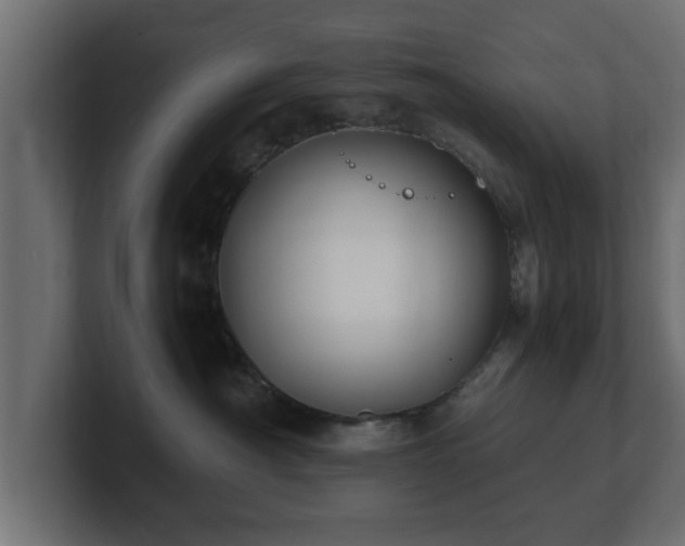 X0000100760430200806261609