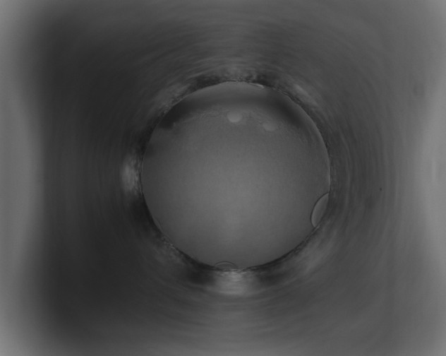 X0000100760432200806261609