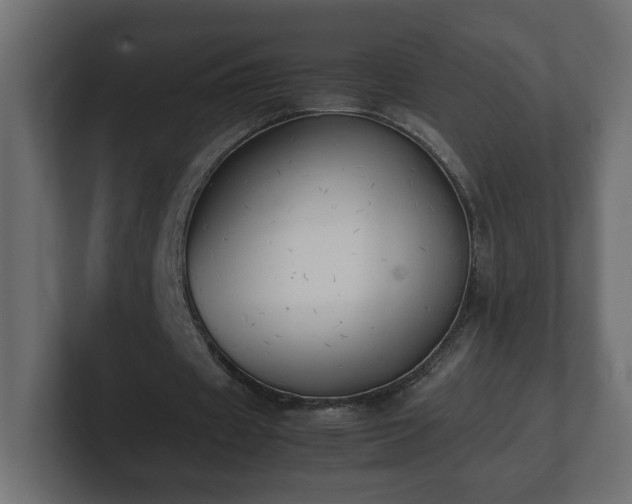 X0000100760433200806261608