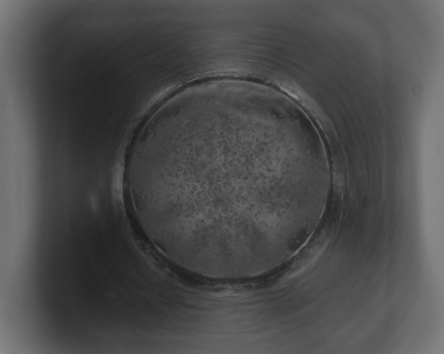 X0000100760434200806261608