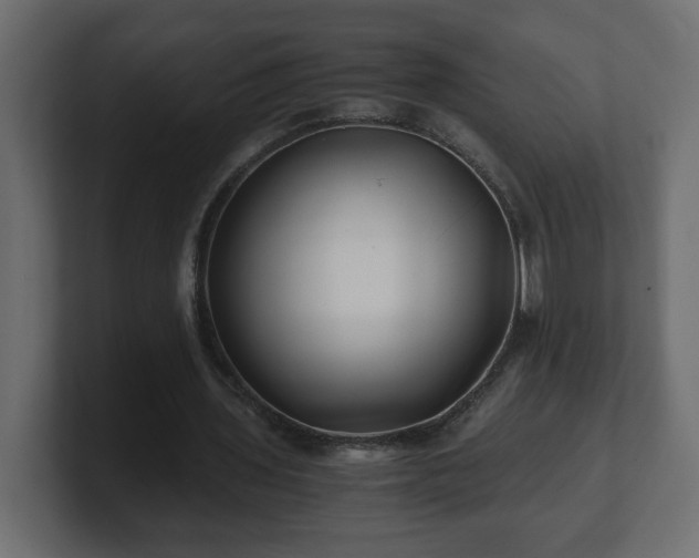 X0000100760435200806261608