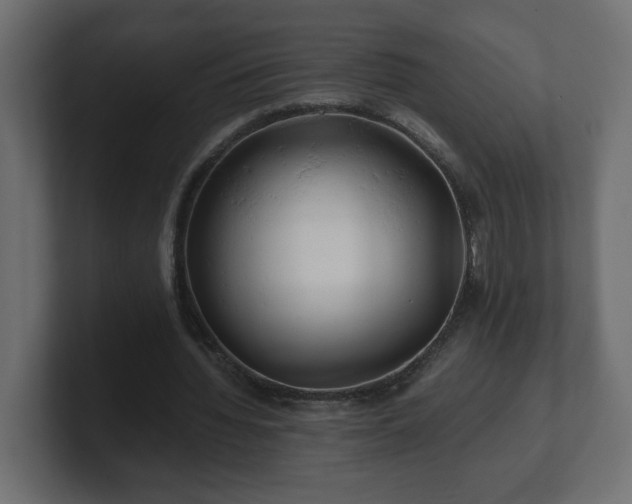 X0000100760436200806261608