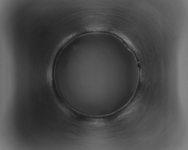 X0000100760438200806261608