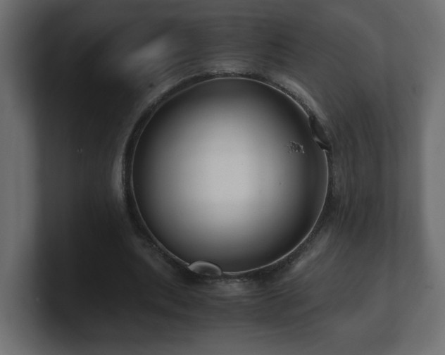 X0000100760439200806261608