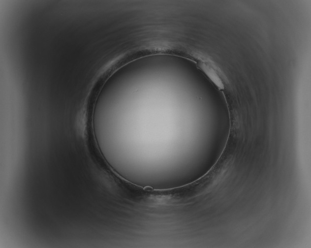 X0000100760440200806261608