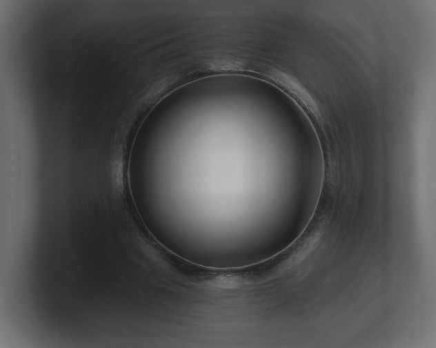 X0000100760441200806261608