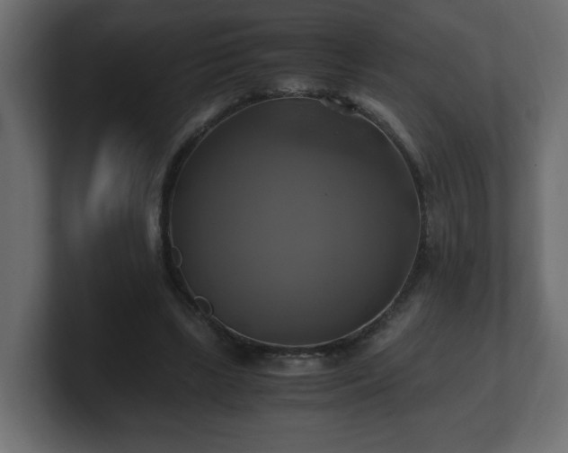 X0000100760443200806261608