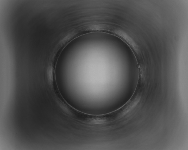 X0000100760445200806261608