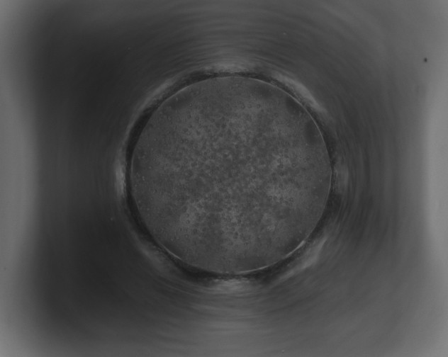 X0000100760446200806261608
