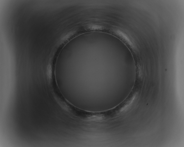 X0000100760447200806261608