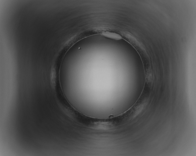 X0000100760448200806261608