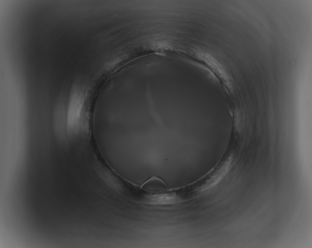 X0000100760449200806261608