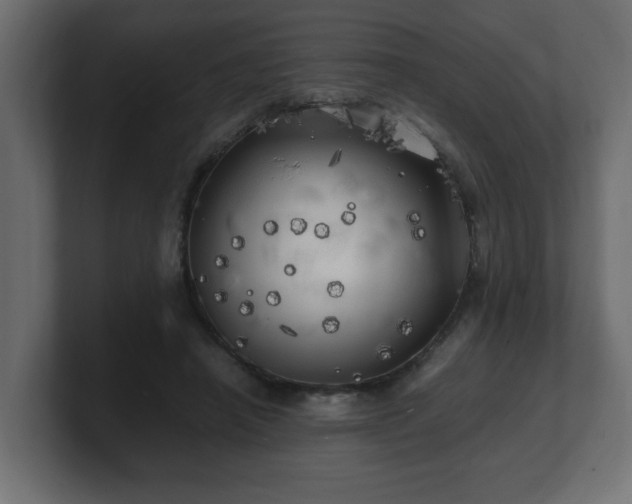 X0000100760450200806261608