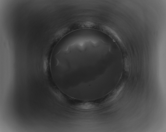 X0000100760451200806261608