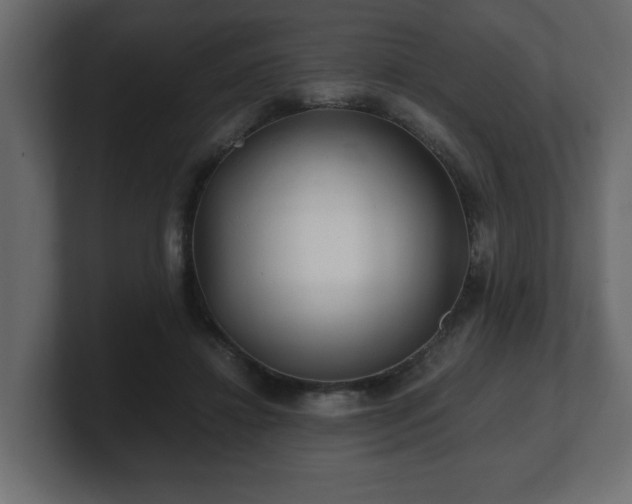 X0000100760452200806261608