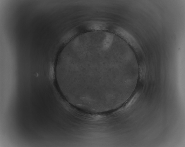 X0000100760453200806261608