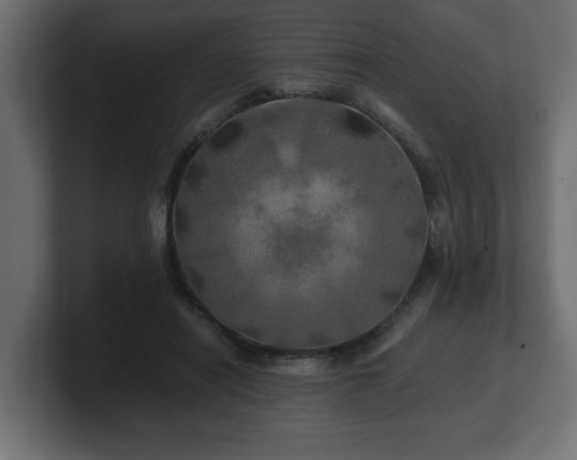 X0000100760454200806261608