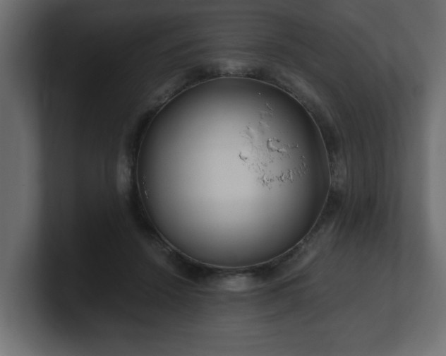 X0000100760456200806261608