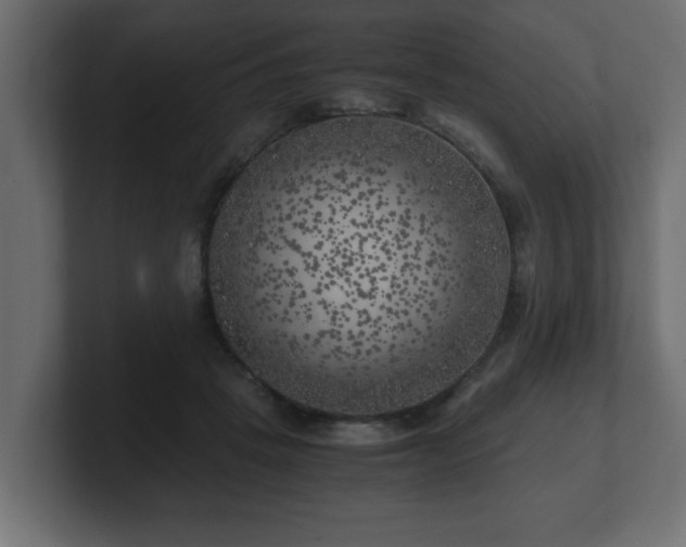 X0000100760457200806261608