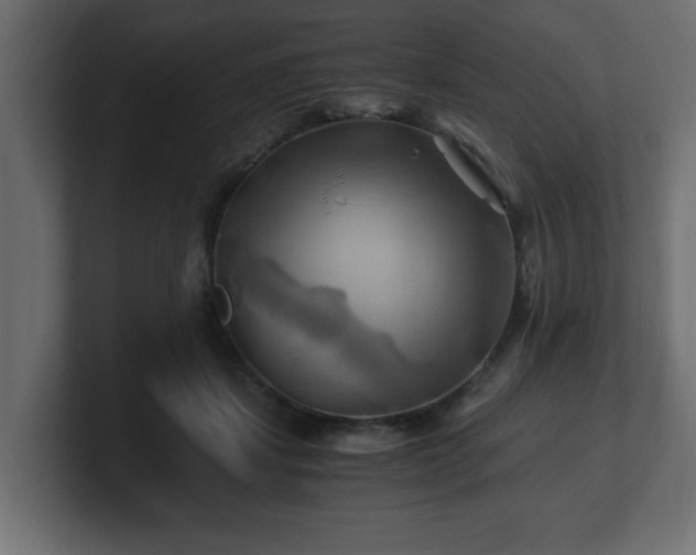 X0000100760459200806261608