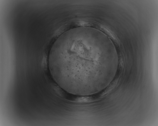 X0000100760461200806261608