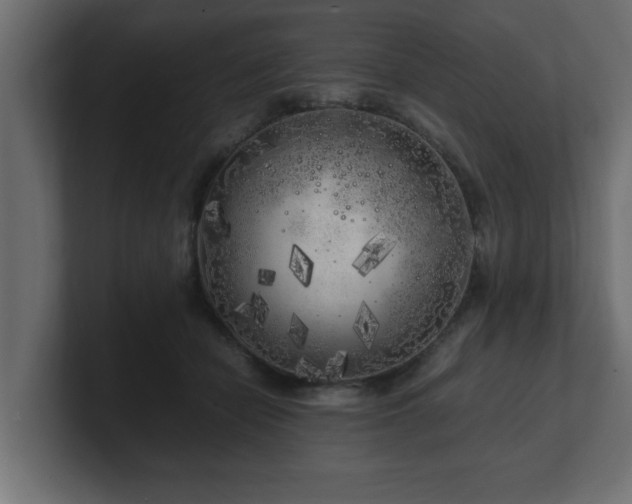 X0000100760462200806261608