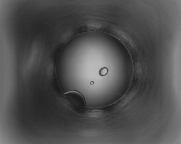 X0000100760463200806261608