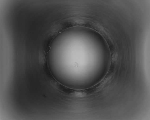 X0000100760464200806261608