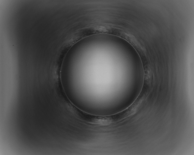 X0000100760466200806261608