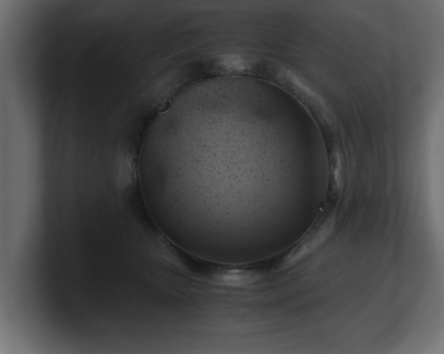 X0000100760467200806261608