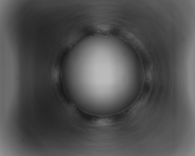 X0000100760468200806261608