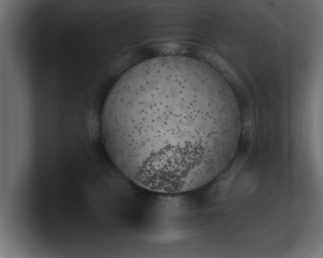 X0000100760469200806261608