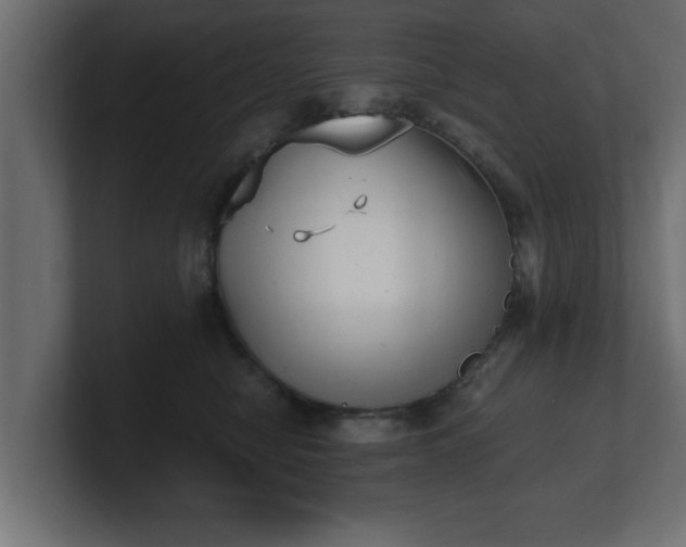 X0000100760470200806261608