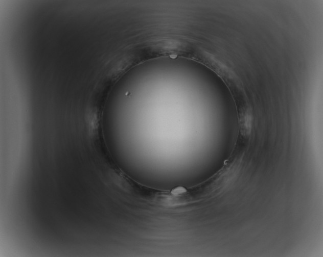 X0000100760472200806261608