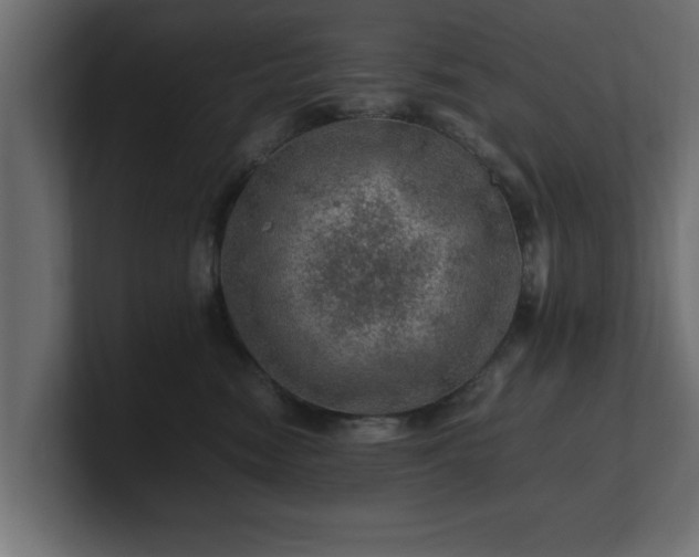 X0000100760474200806261608