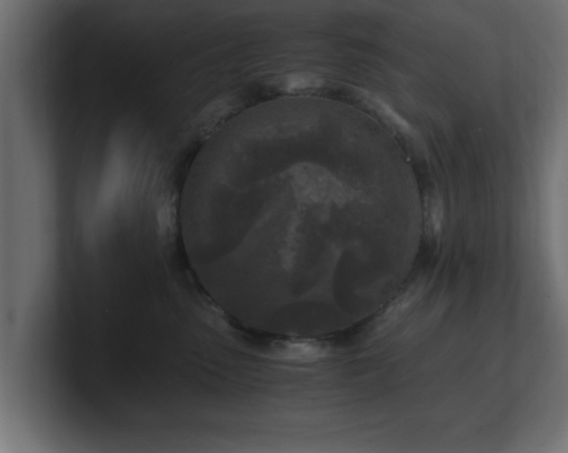 X0000100760475200806261608