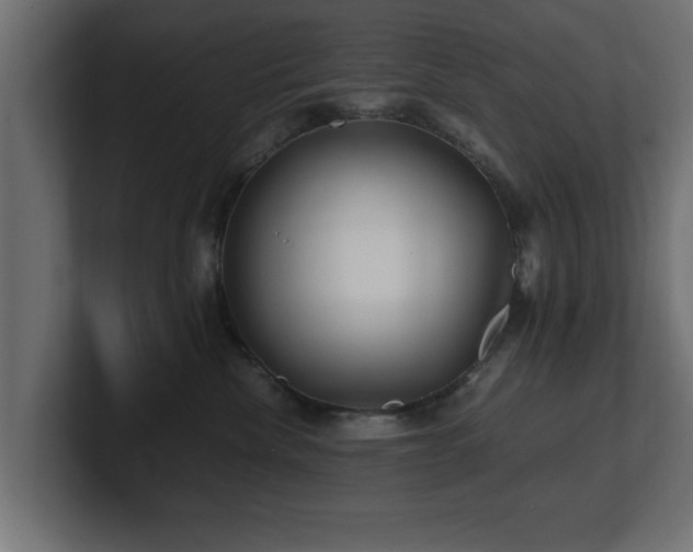 X0000100760476200806261608