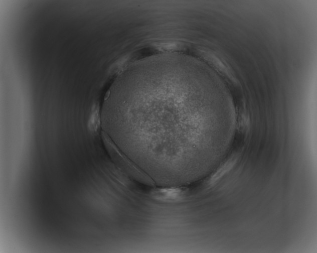 X0000100760478200806261608