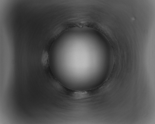 X0000100760480200806261609