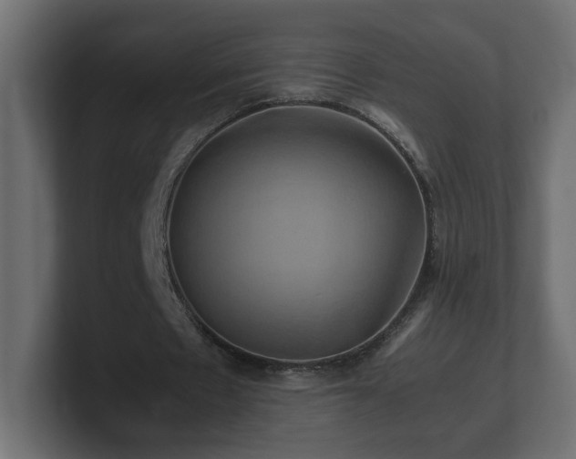 X0000100760481200806261608