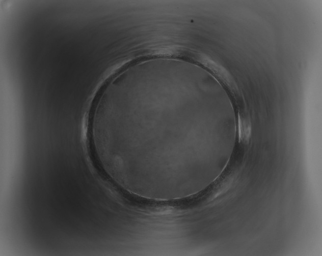 X0000100760483200806261608