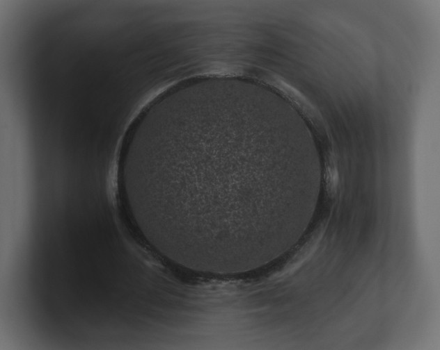 X0000100760484200806261608